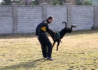 IMG 7334