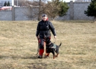 IMG 7361