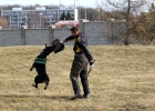 IMG 7374