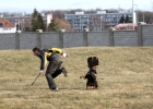 IMG 7377