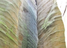 IMG 0442