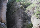 IMG 0445