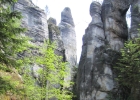 IMG 0450