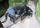 IMG 0485