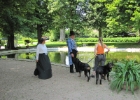 IMG 0675