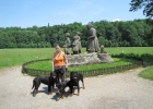 IMG 0687
