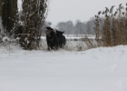 IMG 0925