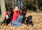 IMG 3368