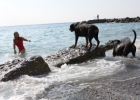 IMG 4718