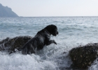 IMG 4744