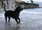 IMG 4754