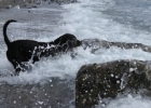 IMG 4768