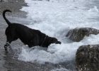 IMG 4770