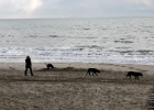 IMG 6869