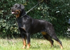 hajk0799
