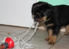 IMG 4757