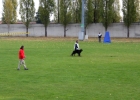 IMG 5645