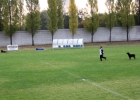 IMG 5677