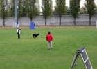 IMG 5785