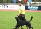 IMG 8875