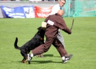 IMG 8898