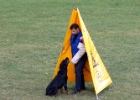 P1150106