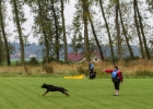 IMG 0543