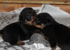 IMG 4028