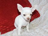 IMG 6581