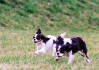 IMG 3736