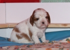 4_tyden
