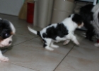 IMG 7471