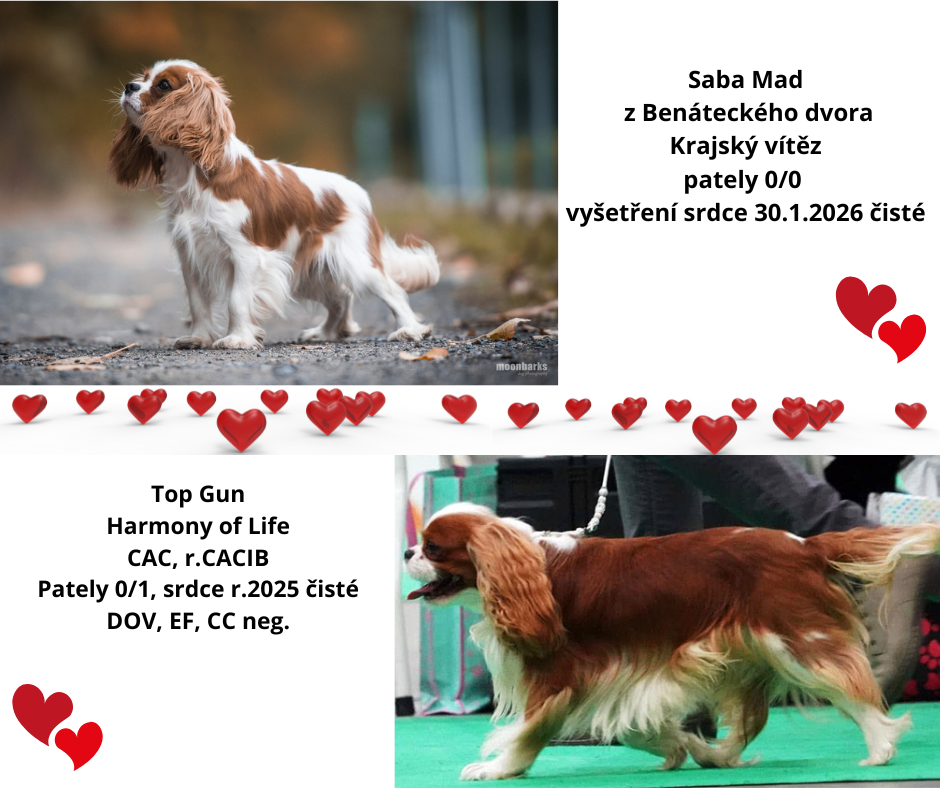 Rishiri Mad z Benáteckého dvora pately 01 srdce čisté 1
