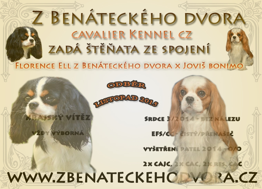 inzerát Florence Jovis