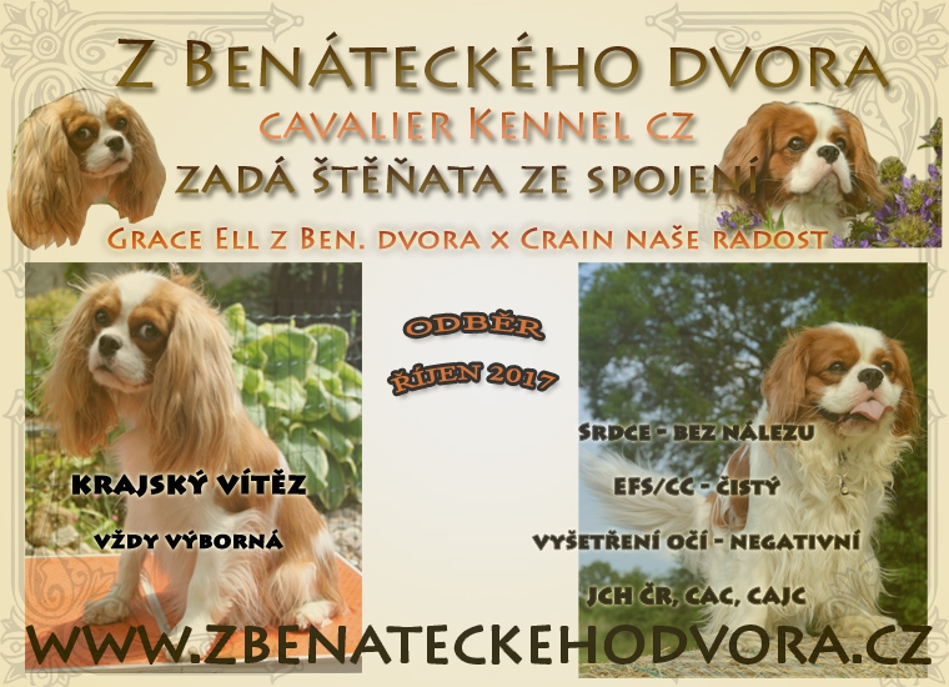 inzerát graceell Crain 2017