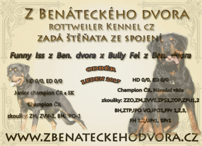 inzerat funny bully 2016