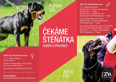inzerat funny arco 2015
